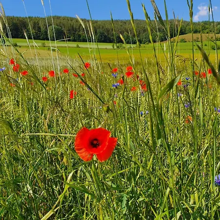 Imzentrum Apartment Payerbach