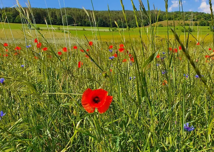 Imzentrum Lejlighed Payerbach